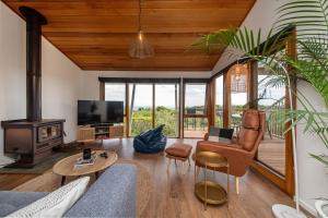 sala de estar con sofá y chimenea en TJ's Tree House with Ocean Views, en Cape Schanck