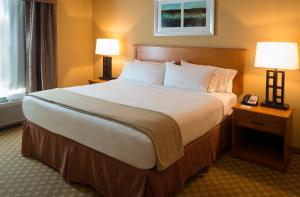 a large bed in a hotel room with two lamps at Holiday Inn Express Hotel & Suites Chicago West Roselle by IHG in Roselle +34 photos