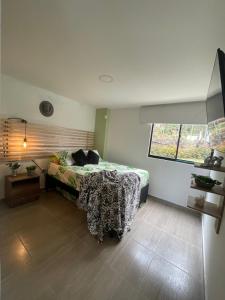 瓜爾內的住宿－Villa Jara, con vista al bosque + Jacuzzi，一间卧室设有一张床和一个窗口