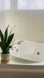 a white bath tub with a potted plant on a counter at Hotel Gran Costa Azul in Puerto Santo Tomás de Castilla