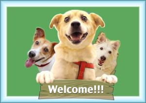 eine Gruppe von drei Hunden mit einem Willkommensschild in der Unterkunft のんびれっじ　季流　（きりゅう） in Nasushiobara