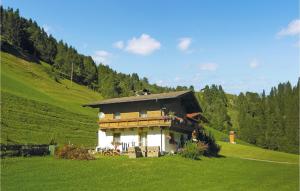 ミュールバッハ・アム・ホーホケーニッヒにあるBeautiful Apartment In Mhlbach With House A Mountain Viewの緑地の丘の上の家