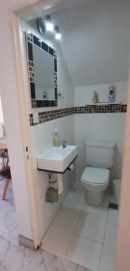 a bathroom with a white toilet and a sink at Casa Duplex AMOBLADO en San Salvador de Jujuy Barrio Las Marias in San Salvador de Jujuy