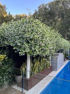 Luxury Stay with Private Heated Pool in Salamander Bay内部或周边的泳池