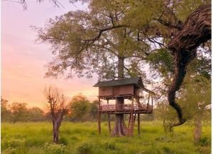 una casa sull'albero seduta in mezzo a un campo di Bardiya Eco Safari Homestay a Bhurkīā