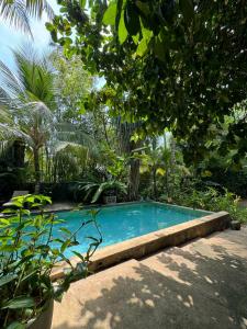 a swimming pool in the middle of a garden at Aurora in Unawatuna