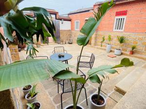 a patio with tables and chairs and potted plants at Wuzou Guesthouse in Jinsha