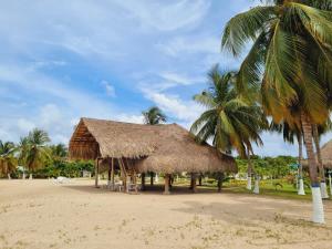 a hut with chairs and palm trees on the beach at Amazing 5BR House with Ocean View in Cartagena in Playa Blanca