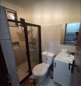 een badkamer met toilet, douche en wastafel bij Villa De Gracia in Manilla