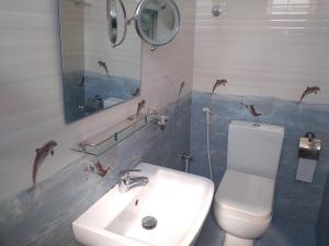 ein Badezimmer mit Waschbecken, Toilette und Spiegel in der Unterkunft MercuryFM 108 House - 24 Daya Road Colombo 6 -6-2 in Wellawatta