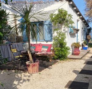 eine Terrasse mit einer Bank, einem Tisch und einer Palme in der Unterkunft Cabanon de pêcheur en bord de lagune in Sète
