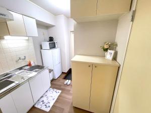 een kleine keuken met een wastafel en een koelkast bij Gest Residence EDORIVER Airport Line Self check in in Tokyo