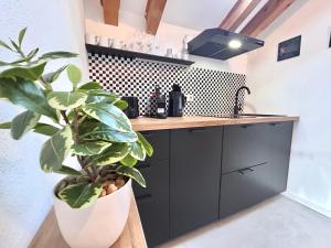 a kitchen with black cabinets and a potted plant at Adrian Stoop Seeblick Dachstudio in Bad Wiessee