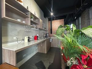 een keuken met een aanrecht en een aantal planten bij Rooster B&B in Kaohsiung