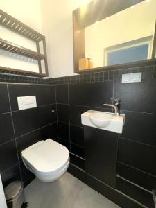 een badkamer met een toilet, een wastafel en een spiegel bij Gemütliches Appartement "Emma" in Halle in Rusches Hof
