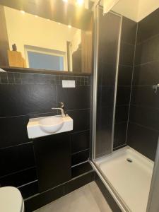 ein Bad mit einem Waschbecken und einer Dusche in der Unterkunft Gemütliches Appartement "Emma" in Halle in Rusches Hof