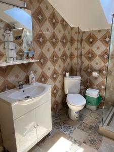 ein Bad mit einem WC und einem Waschbecken in der Unterkunft Pensiunea Casa Albă in Tuzla