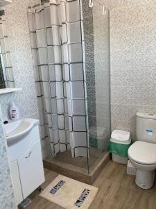 ein Bad mit einer Dusche, einem WC und einem Waschbecken in der Unterkunft Pensiunea Casa Albă in Tuzla