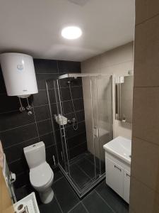 uma casa de banho com um chuveiro, um WC e um lavatório. em Wolf Apartments SPA with GARAGE em Kopaonik