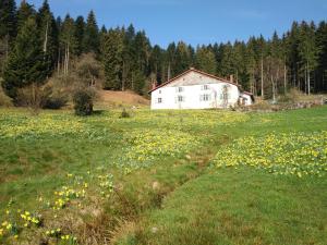 Príroda v okolí apartmánu