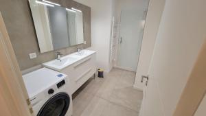 ein Badezimmer mit einem Waschbecken und einer Waschmaschine in der Unterkunft Appartement neuf avec terrasse in Montmerle Sur Saône