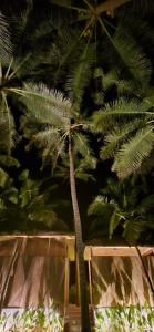 Kurma A Private Beach外面的花园