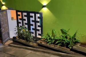 a group of plants in front of a green wall at Suite ultra moderne Wi-Fi in Yaoundé