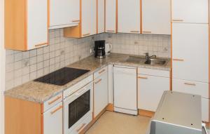 アシャウにあるAwesome Apartment In Aschau With 3 Bedrooms And Internetの白いキャビネットとシンク付きのキッチン
