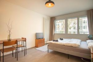 una camera da letto con un letto, una scrivania e una televisione di Modern apartment in Basel with free BaselCard a Basilea