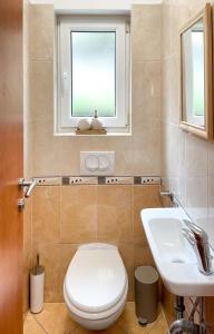 ein Bad mit einem WC, einem Waschbecken und einem Fenster in der Unterkunft Čižići Palm Garden in Čižići