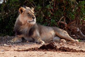 Fotografie z fotogalerie ubytování Jacyjoka Apartments Nyali v destinaci Mombasa + 71 fotografií