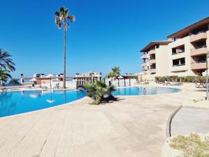 einen Pool in einem Resort mit einer Palme in der Unterkunft Paraiso 2 Bedroom Terrace wifi free in Playa Paraiso