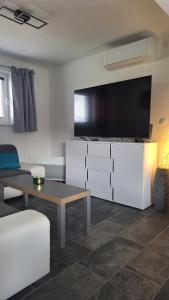 TV a/nebo společenská místnost v ubytování bungalov na břehu Labe s vlastním molem