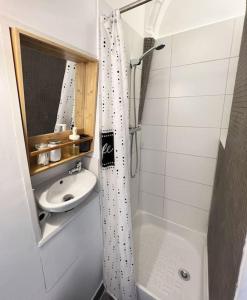 een kleine badkamer met een douche en een wastafel bij Studio proche transports in Choisy-le-Roi