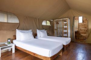 two beds in a room with a tent at Wild Glamping Knuckles - Thema Collection in Rangala