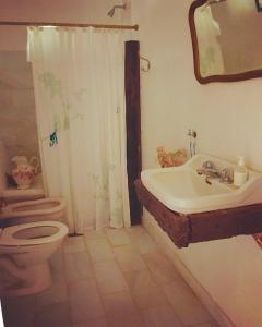 a bathroom with a toilet and a sink at La Madreselva in San Antonio de Areco
