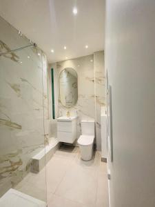 a bathroom with a toilet and a sink and a shower at Studio récemment rénové proche gare et ville in Nice