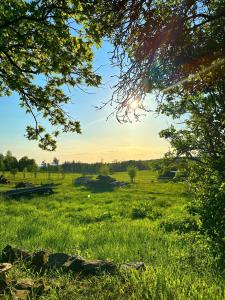 ein Feld von grünem Gras mit der Sonne am Himmel in der Unterkunft Ferienwohnung Westerwaldblick großzügige Wohlfühloase mit Terrasse in Oberelbert