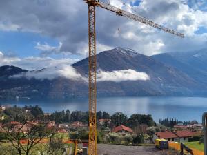 a crane next to a lake and a mountain at Casa del Net - Tremezzo in Tremezzo
