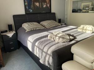 1 dormitorio con 1 cama con 2 almohadas en Ken 't Gat Bie&Bie, en Maldegem