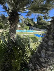 a view of a resort with palm trees and a pool at Villa Roma Open Space - Private heated pool & Mini SPA - in Rome