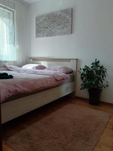 a bedroom with a bed with a rug and a plant at Alacaster G apartman in Novi Sad