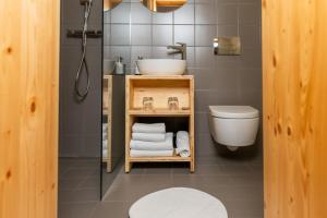 a bathroom with a sink and a toilet at Hiša Erlah in Bohinj +68 photos