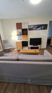 a living room with a couch and a flat screen tv at Jafar Resort 3 in Timişoara