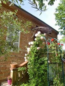 einen Garten mit Rosen, die auf einem Gebäude wachsen in der Unterkunft La Villa des Violettes in Toulouse
