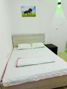 ein Bett in einem Schlafzimmer mit einem Bild eines Pferdes in der Unterkunft Big bedroom in apartment sharing washroom in Schardscha