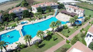 uma vista sobre uma grande piscina com palmeiras em BlueHomes Villas em Belek