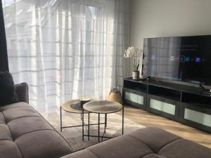uma sala de estar com um sofá e uma televisão em Luxurious apartment in the heart of old town with parking em Kaunas