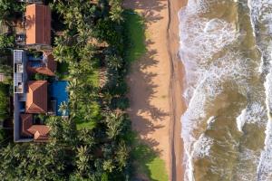 una vista sul mare di una spiaggia con palme di Kirana - A Santani Villa a Bentota
