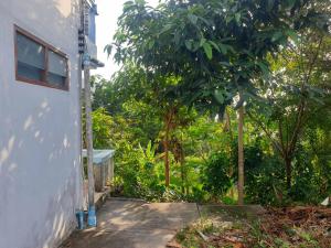 een zijaanzicht van een huis met een boom bij Tommy Resort Koh Tao in Ko Tao